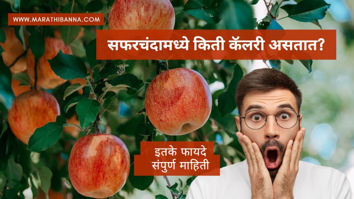 सफरचंदामध्ये किती कॅलरी असतात?| संपुर्ण माहिती मराठी 2024-25