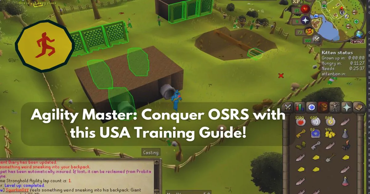 Agility Master Conquer OSRS with this USA Training Guide!