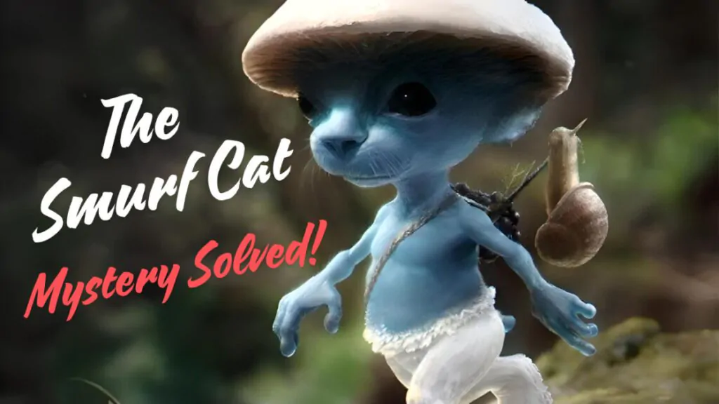 From Sketch to Sensation: The Rise of the Smurf Cat